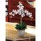 Triple Phalaenopsis Orchid Flower Arrangement In Ceramic Vase